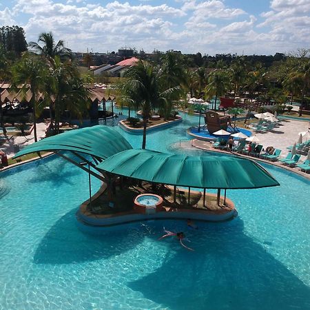 Blue Tree Thermas De Lins Resort Eksteriør bilde The swimming pool at the Hard Rock Hotel